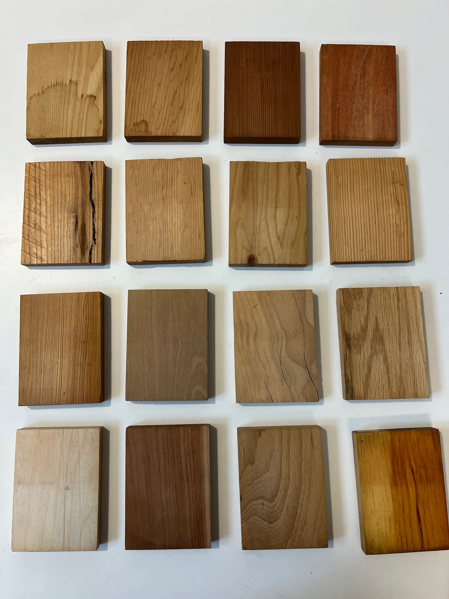 The Grain Game