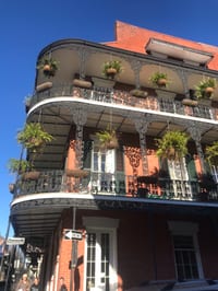 NOLA Building
