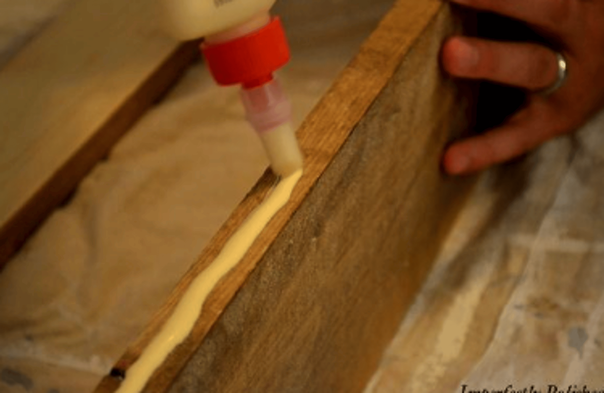 Behnke Wood Glue2