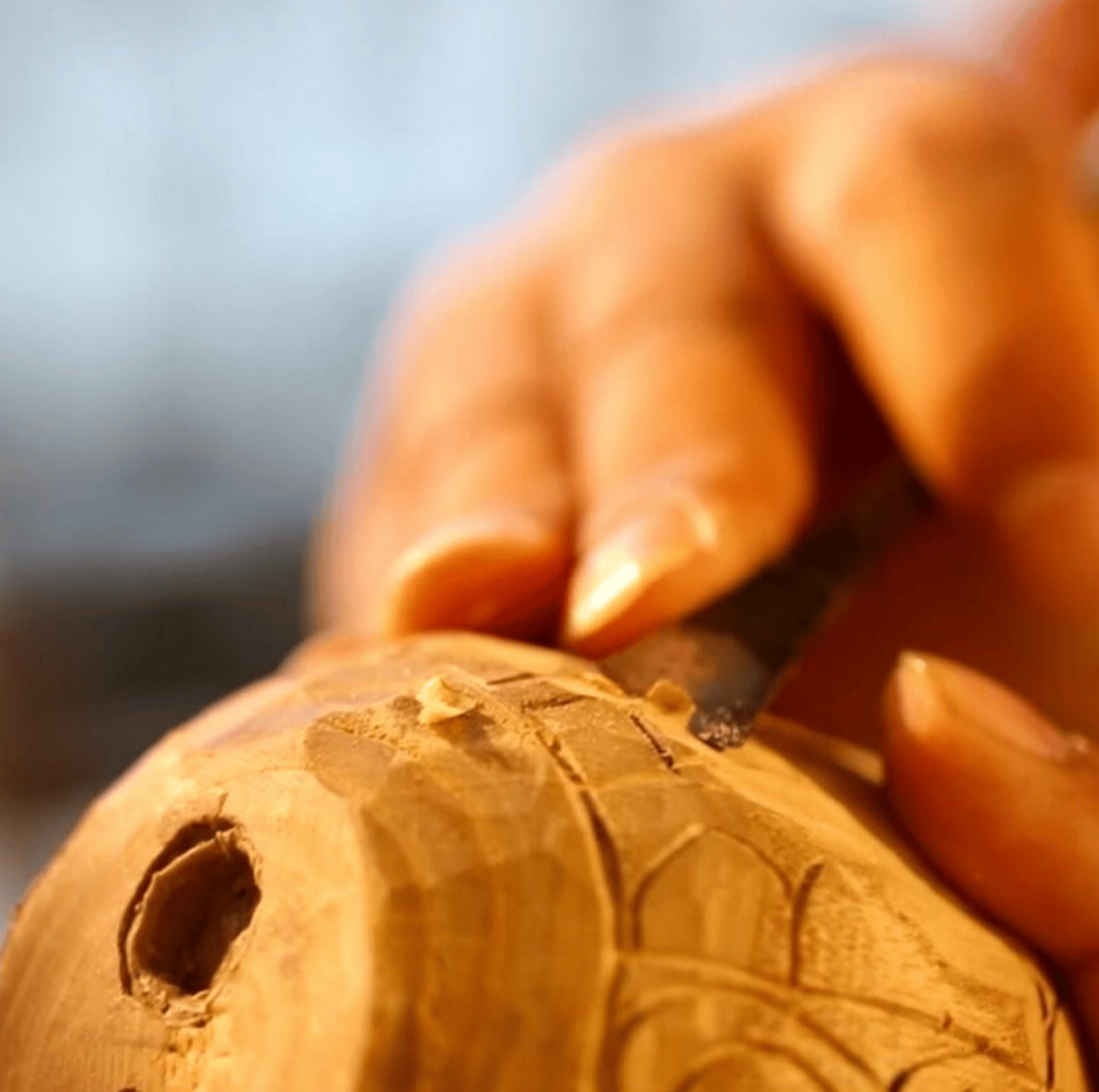 Spoon Carving