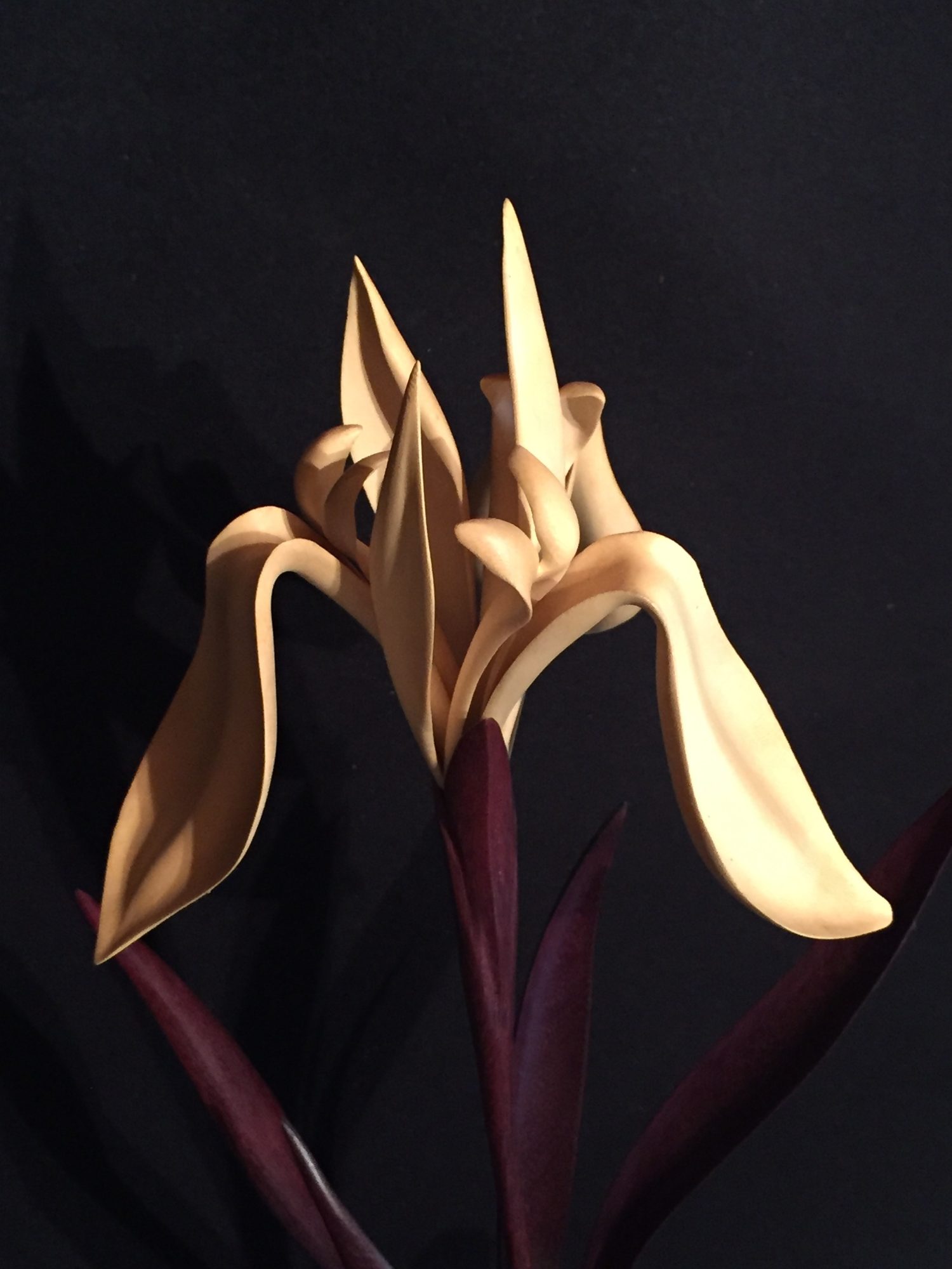 Smithsonian Show - David Pollock
