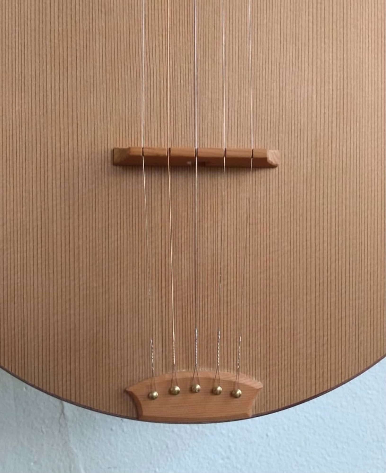 Tom Lees Banjo in Process 6