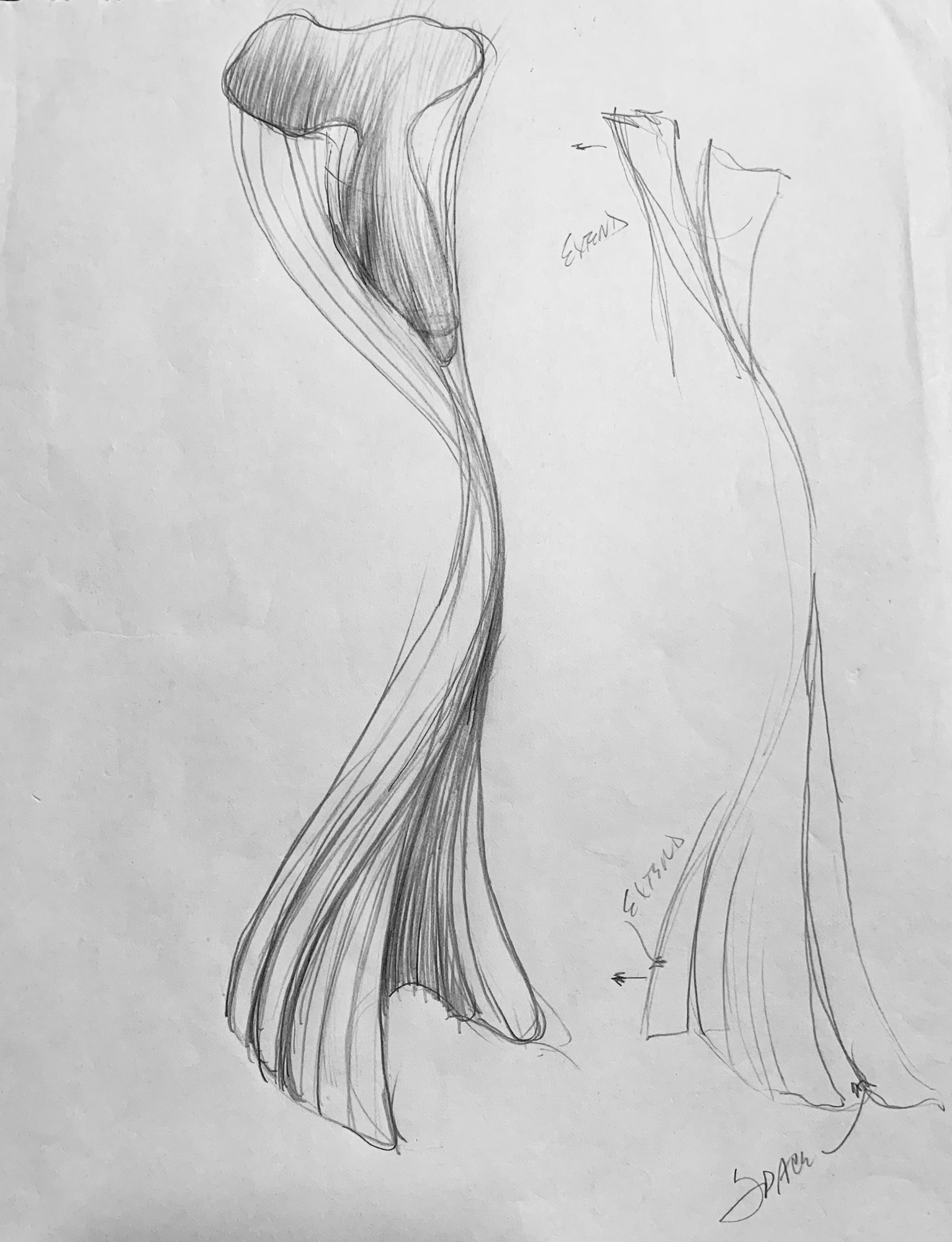 Knopp Sketch