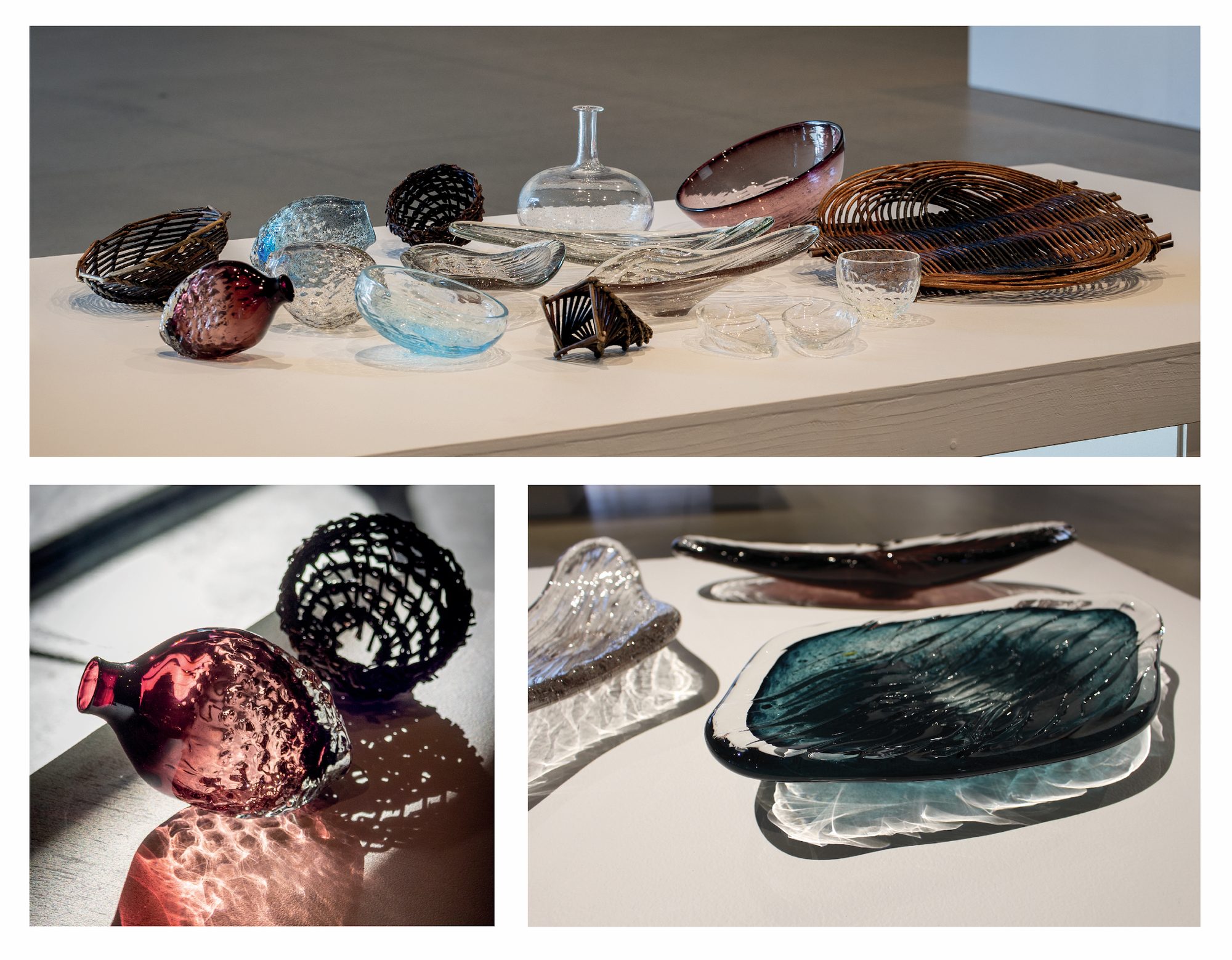 Unionidae Collection