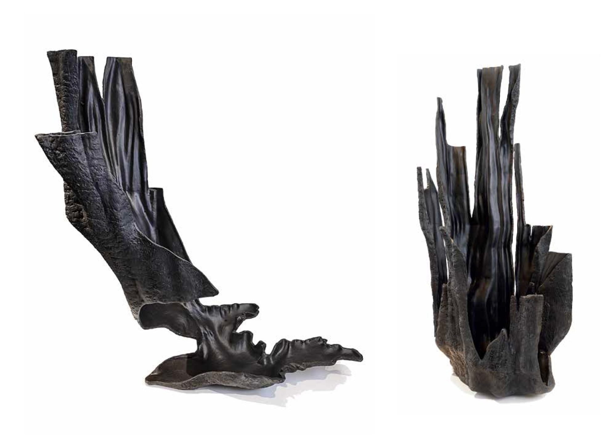 Wildfire Progression Series