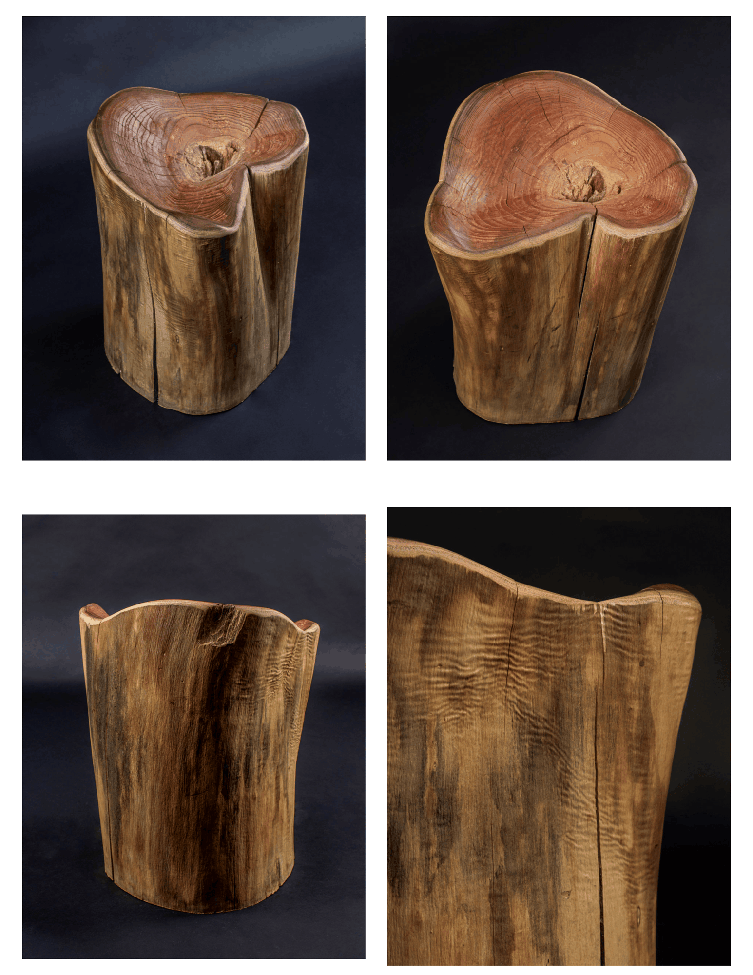 The Log Will Hold You