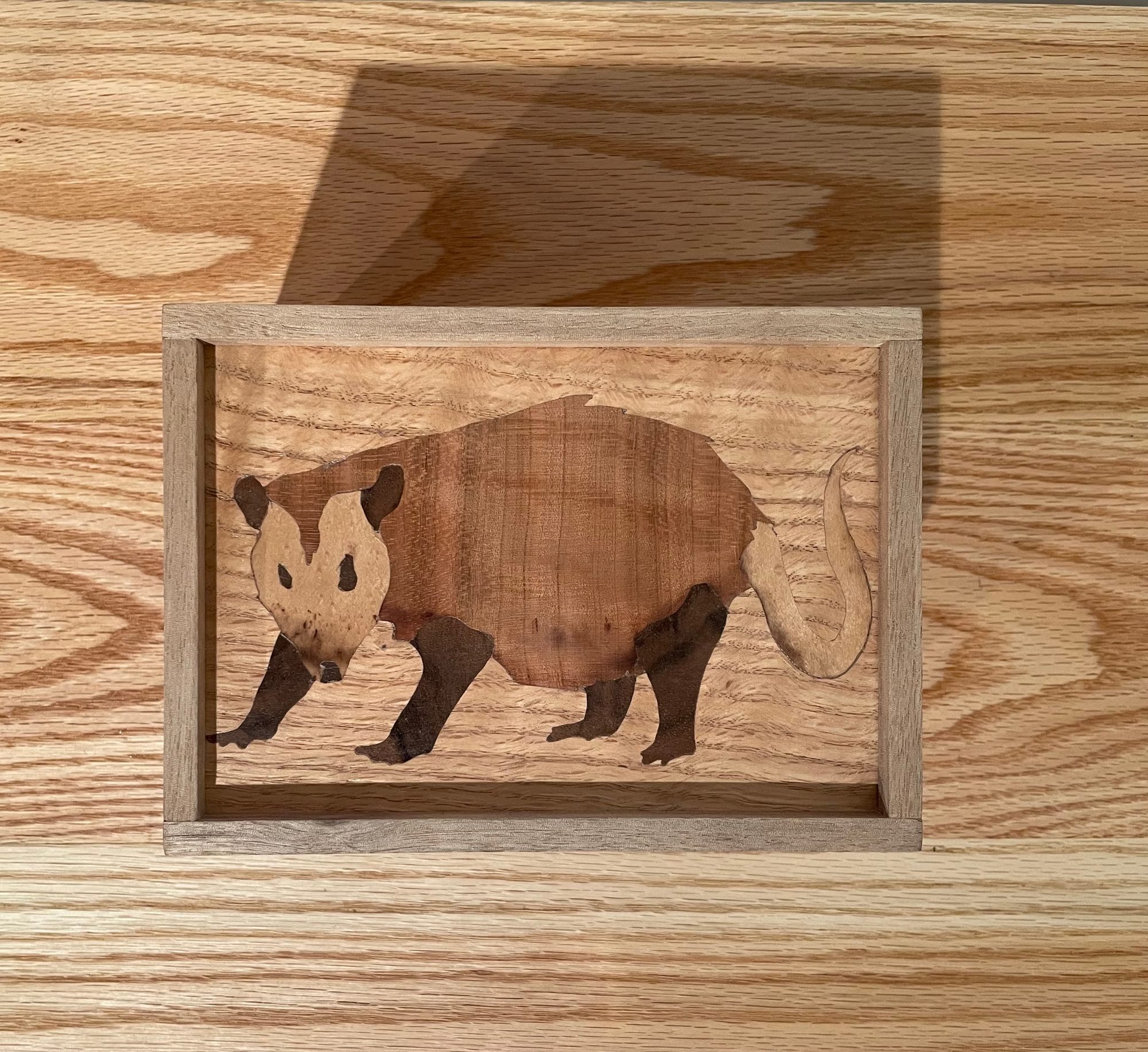 Opossum Box - Top view