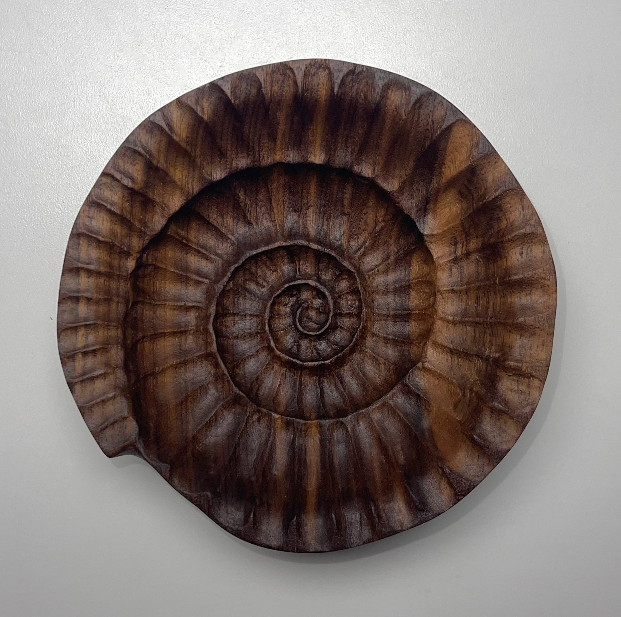 Ammonite Bowl