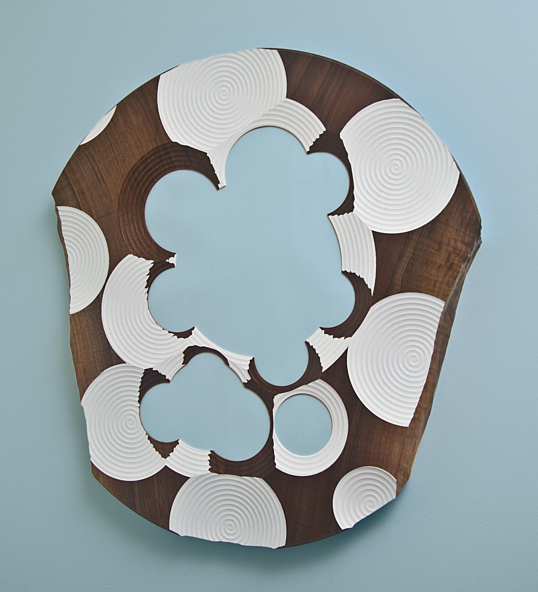 Dish Mirror