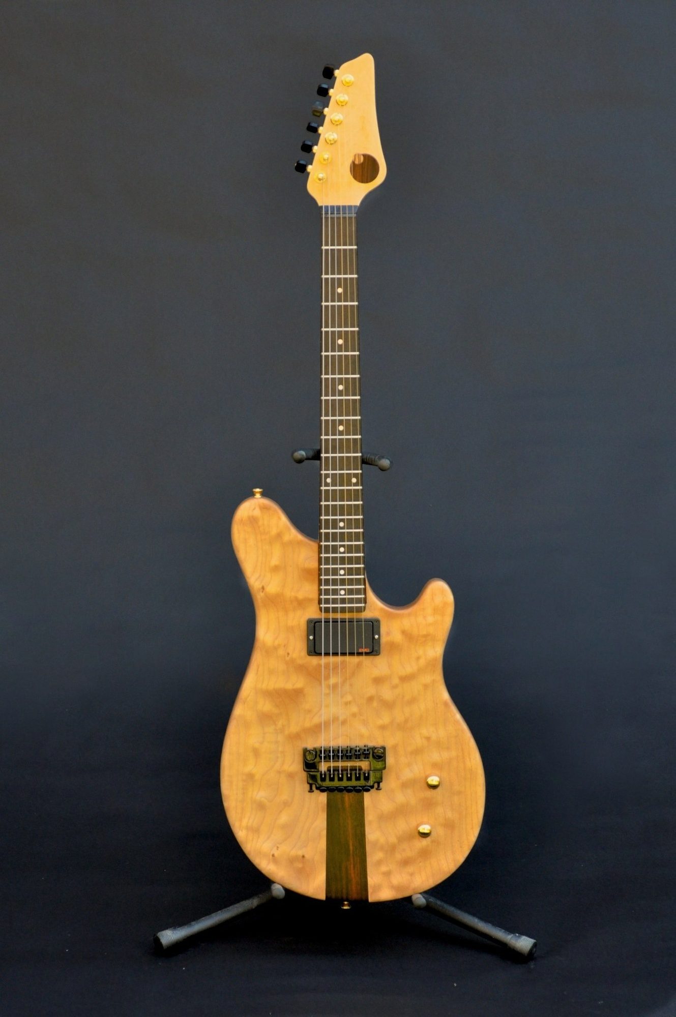 Blues-O-Matic Guitar