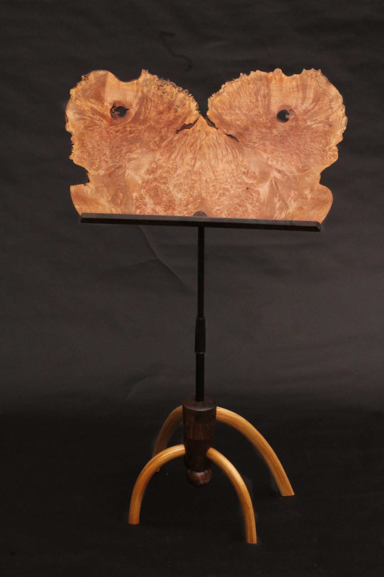 Music Stand (fuer Elise)