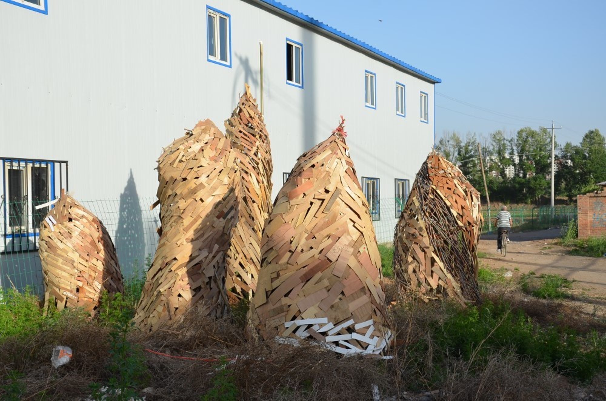 Earth sprouts