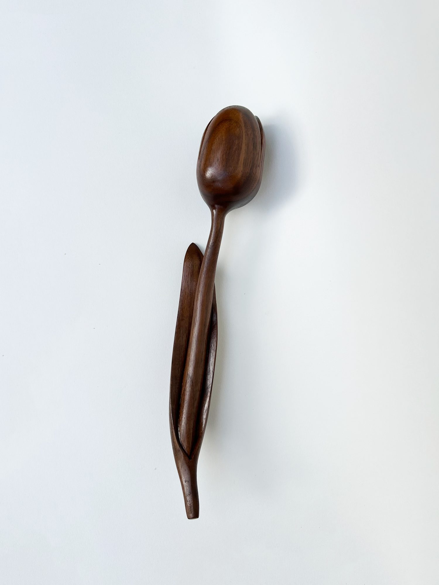 Tulip