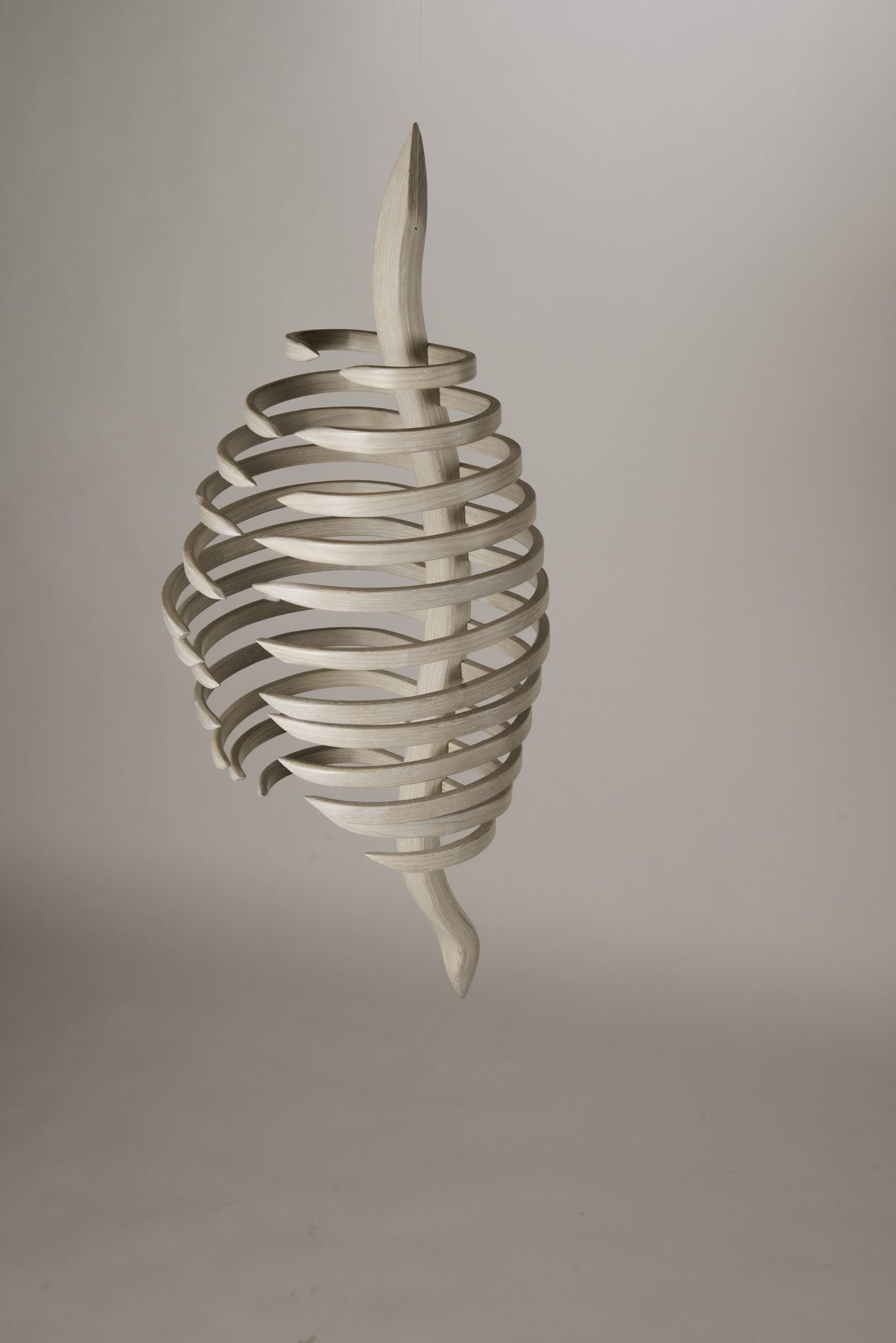 Ribcage