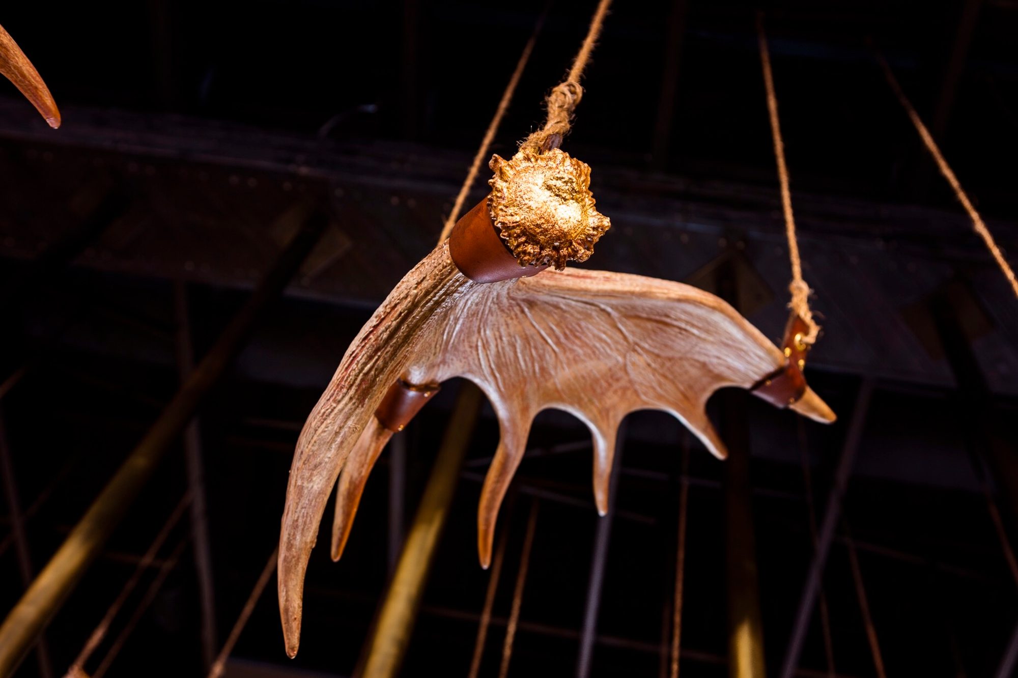 Detail of Herd, Antler Chandelier
