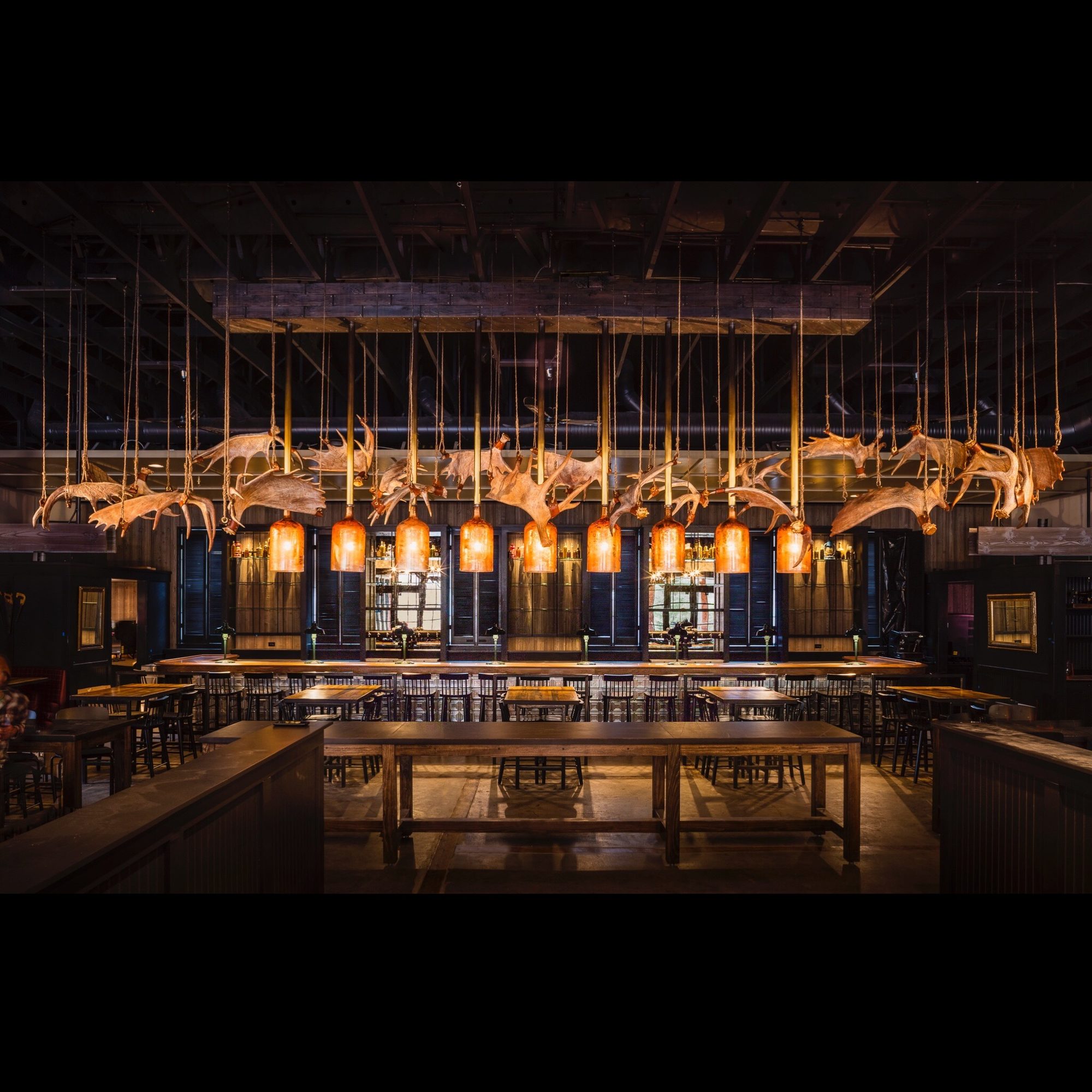 Herd, Antler Chandelier