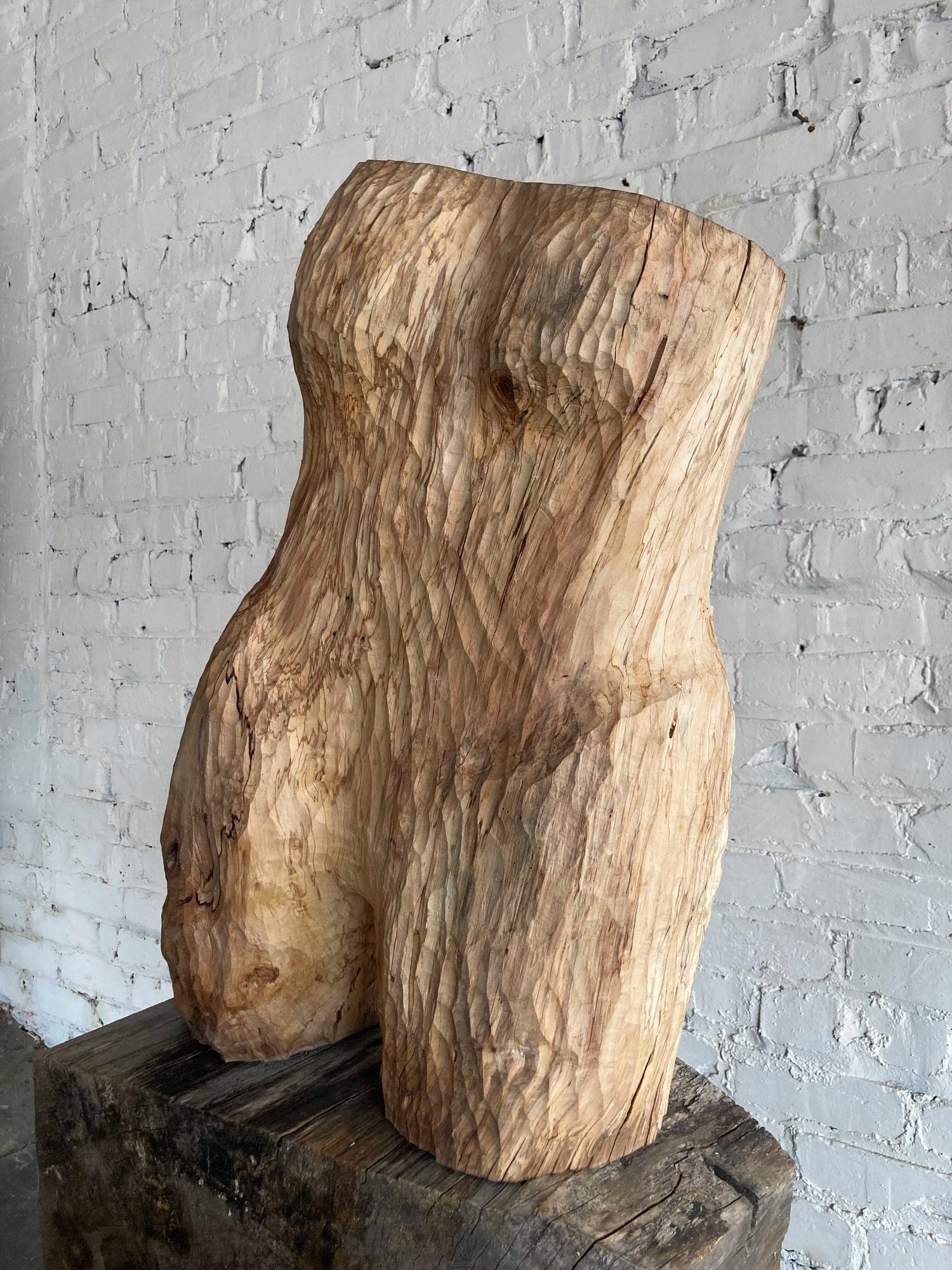 Torso