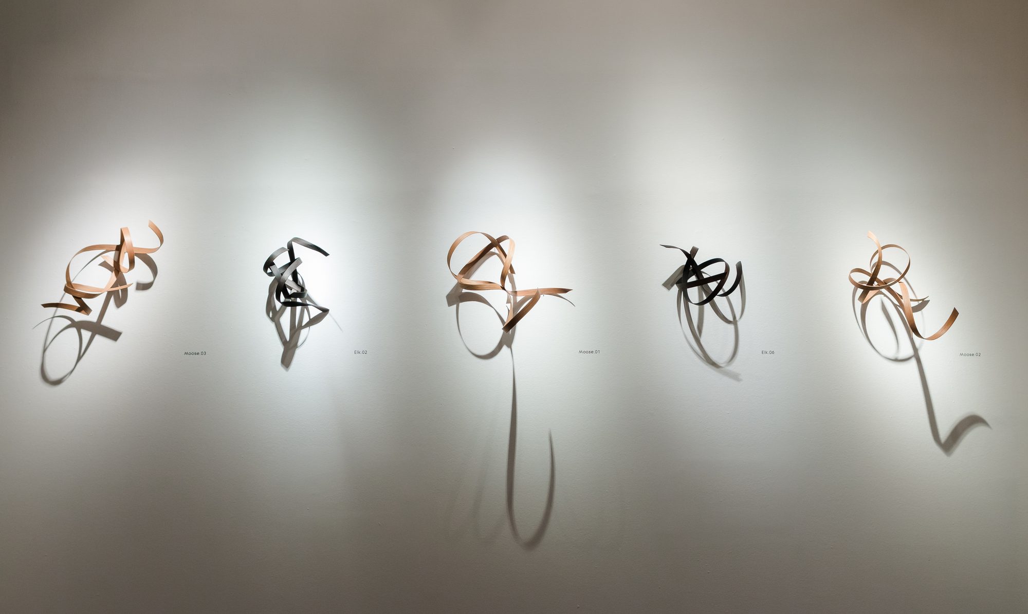 The Antlers series