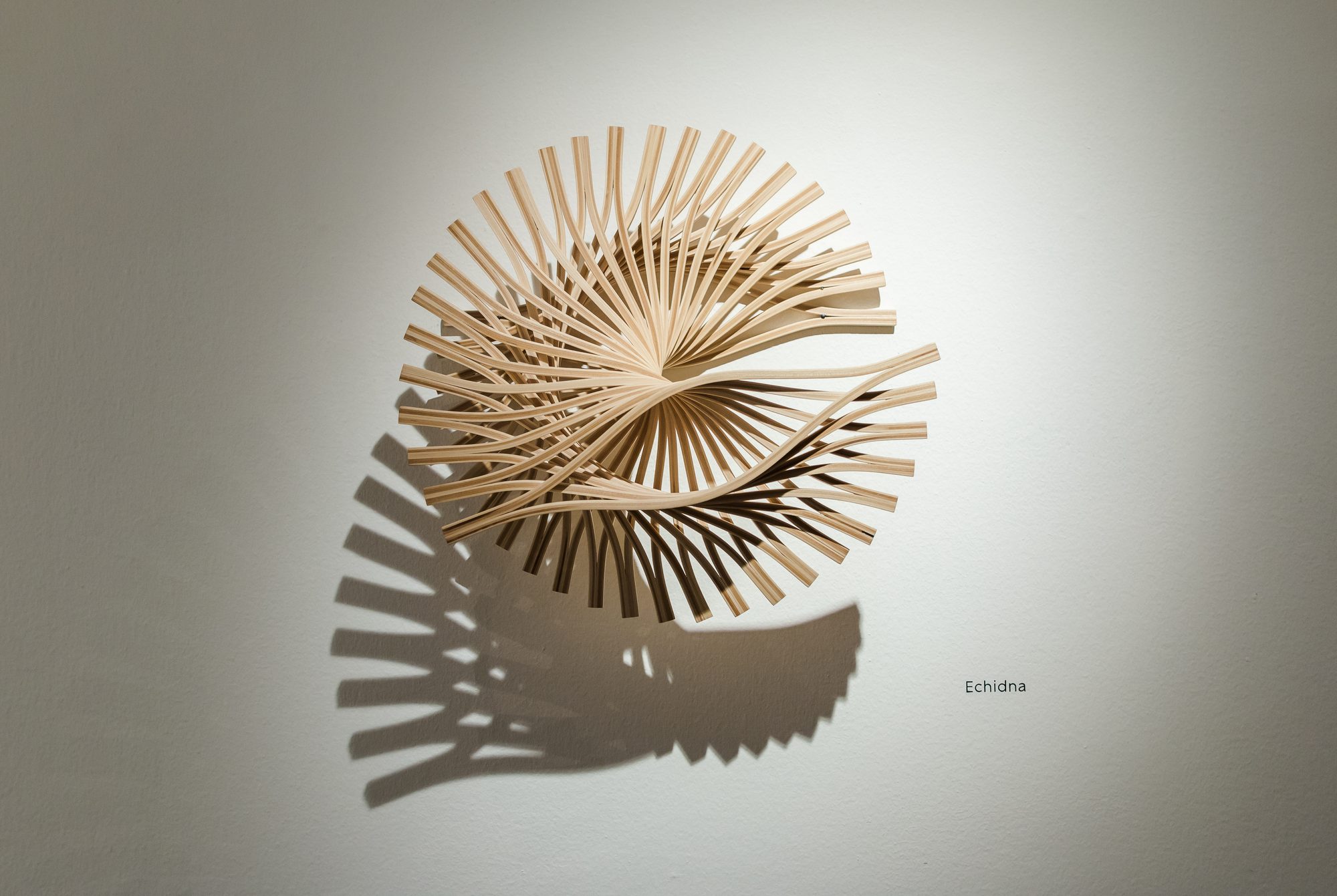 Echidna