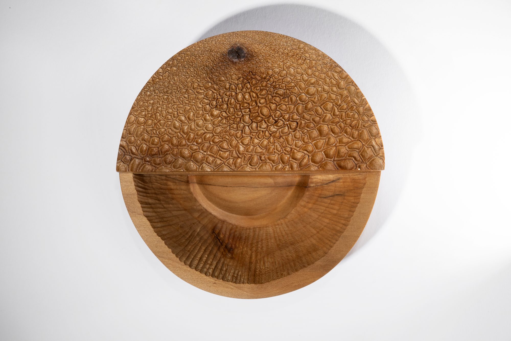 Sycamore II