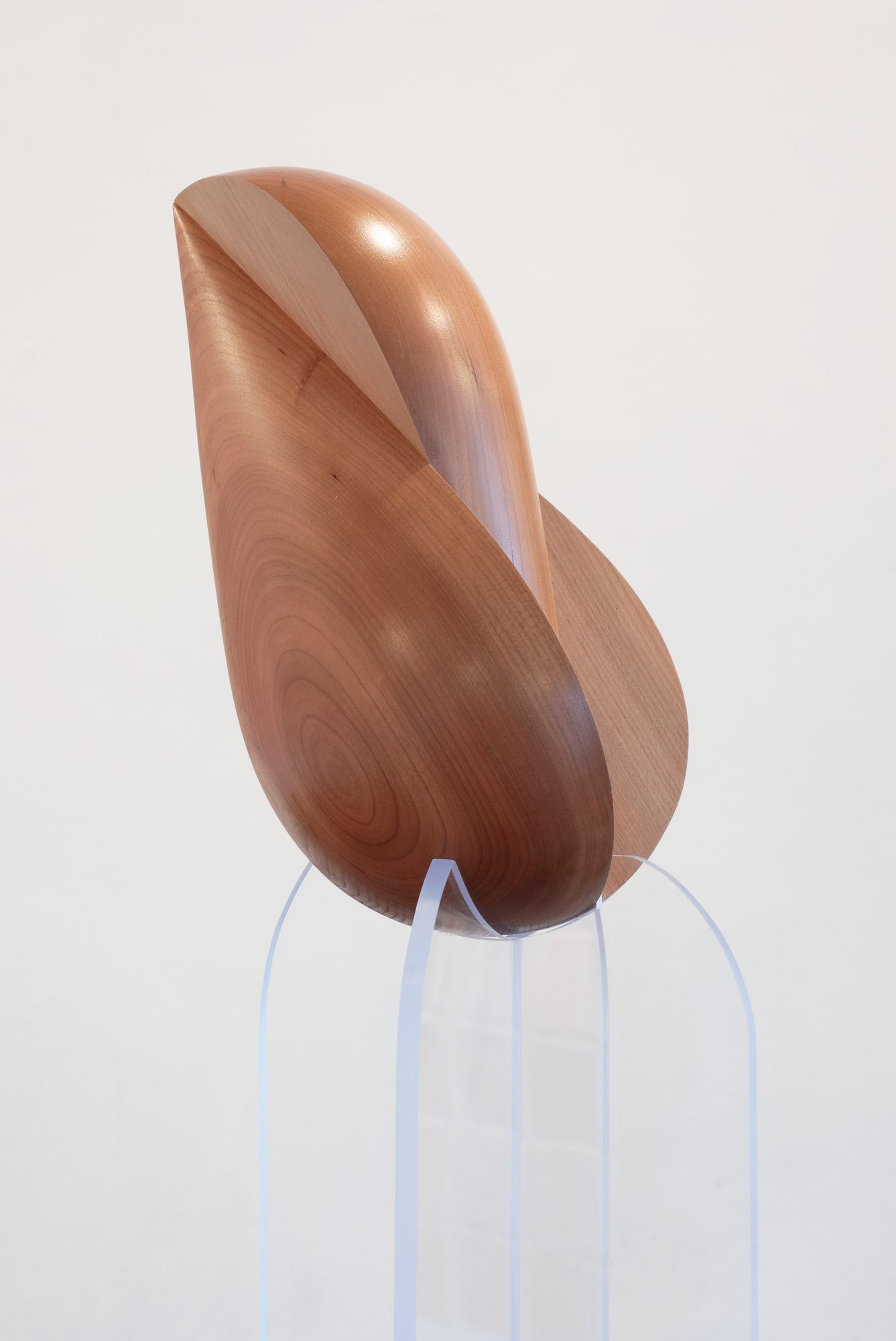 Seed