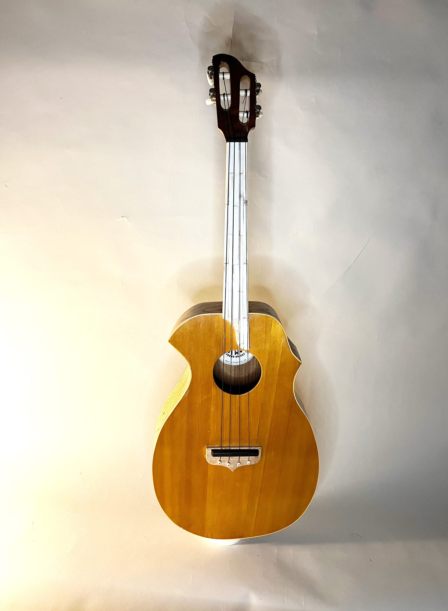 Fretless Tenor