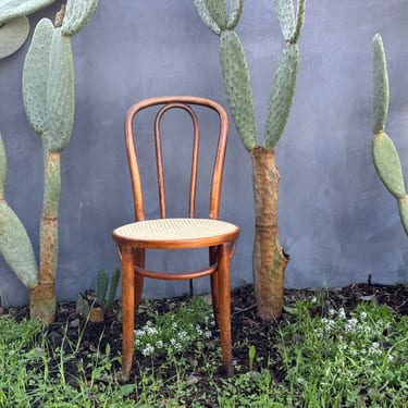 Adam Manley - Chair with Cacti
