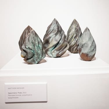 Matthew Mosher Specimens Pods