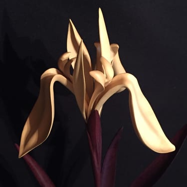 Smithsonian Show - David Pollock