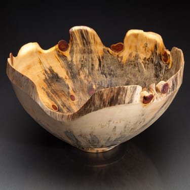 Smithsonian Show - Michel Snegg