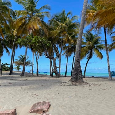 Beach PR
