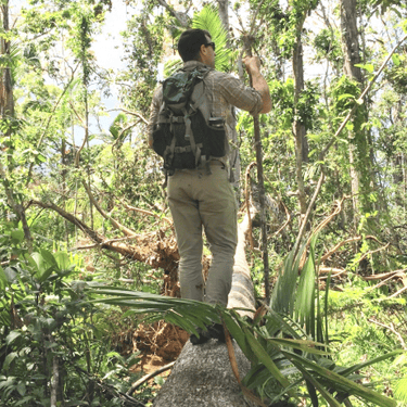 PR Rainforest