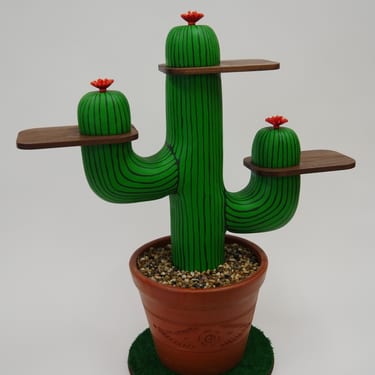 SDSU Student Cactus