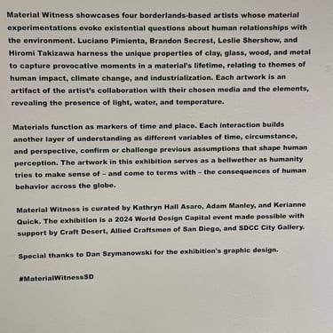Material Witness Curators Statement
