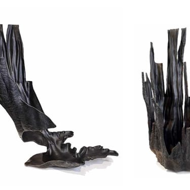 Wildfire Progression Series