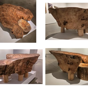 A Eucalyptus Log But Its Smooth