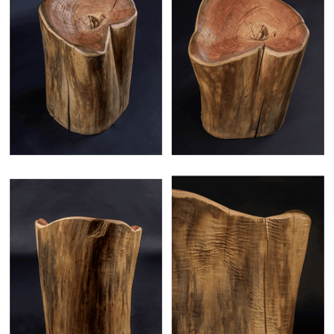 The Log Will Hold You