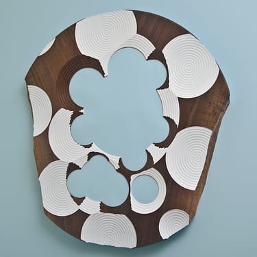 Dish Mirror