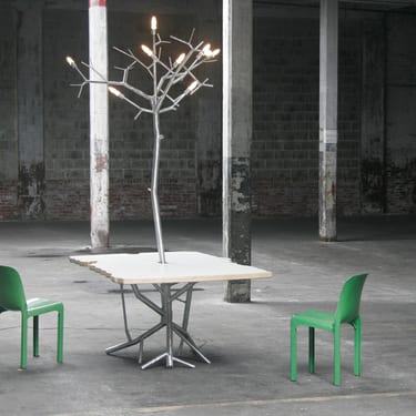 LiveEdge Dining Table with newGROWTH Chandelier