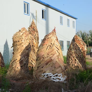 Earth sprouts