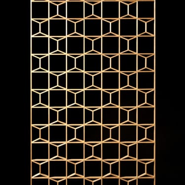 Hexagon screen
