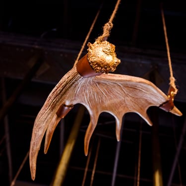Detail of Herd, Antler Chandelier