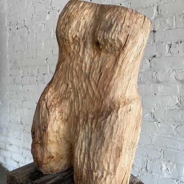 Torso