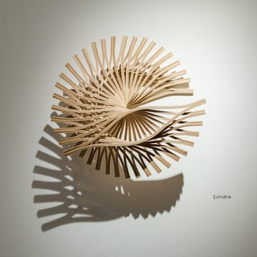 Echidna