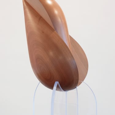 Seed
