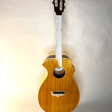 Fretless Tenor