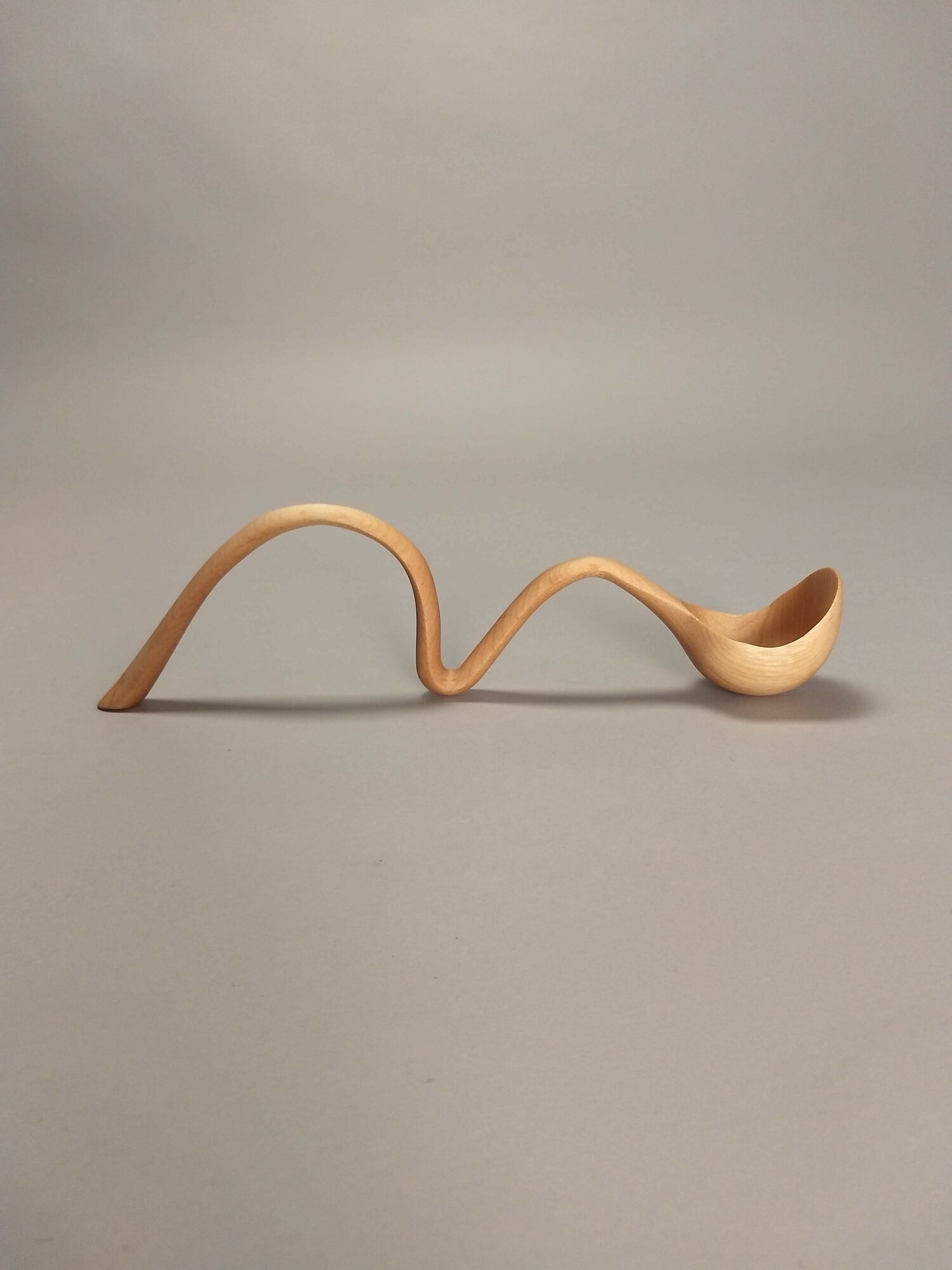 NMU Curved Spoon Carving Project