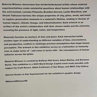 Material Witness Curators Statement