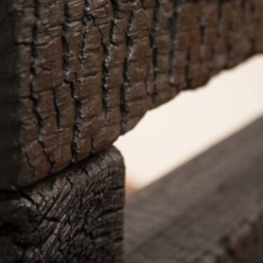 Remnant Charred: detail