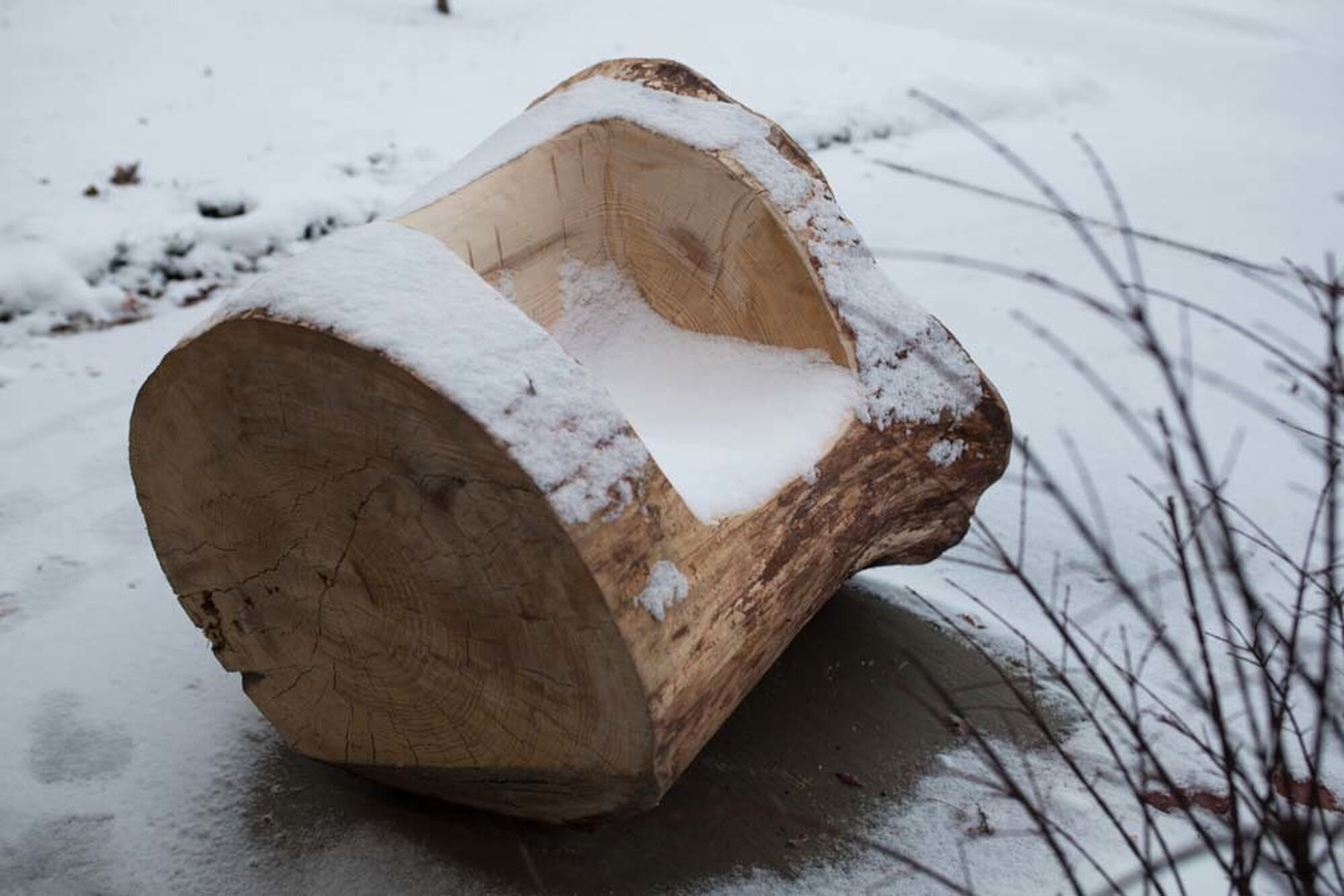 Remnant Log: Snow